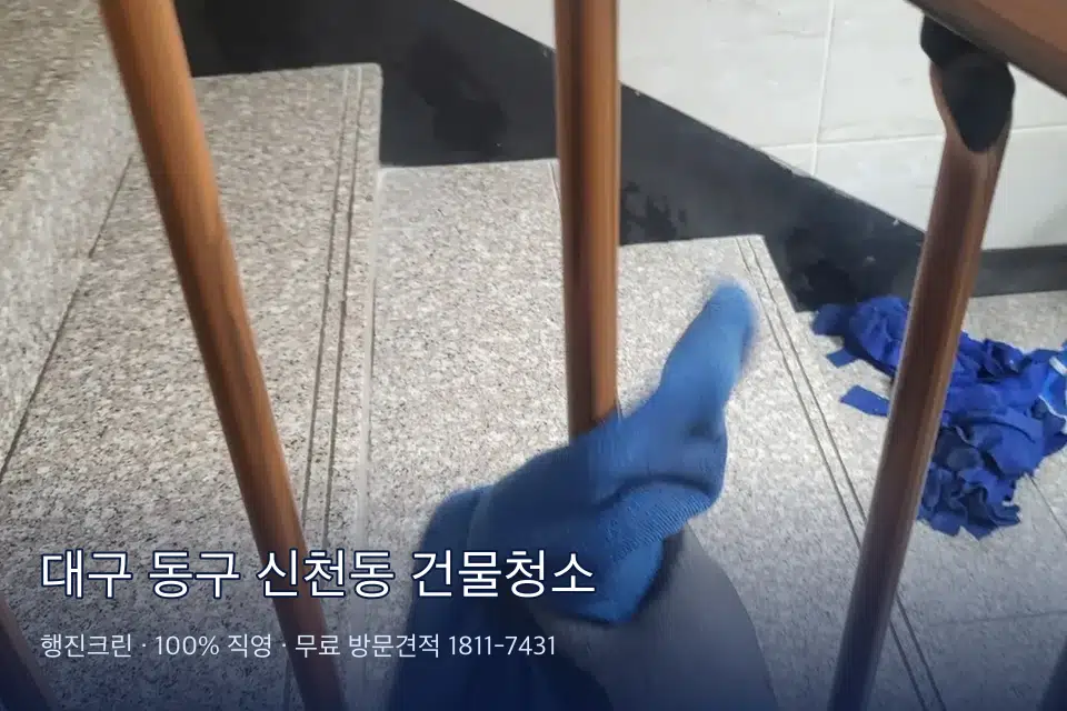 대구 동구 신천동 건물청소