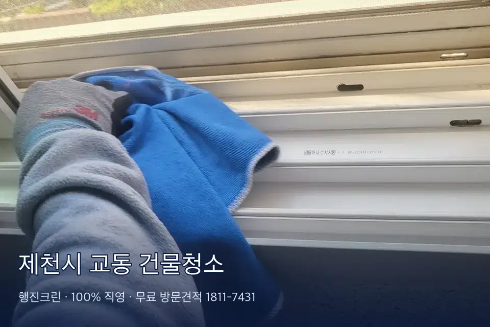 제천시 교동 건물청소